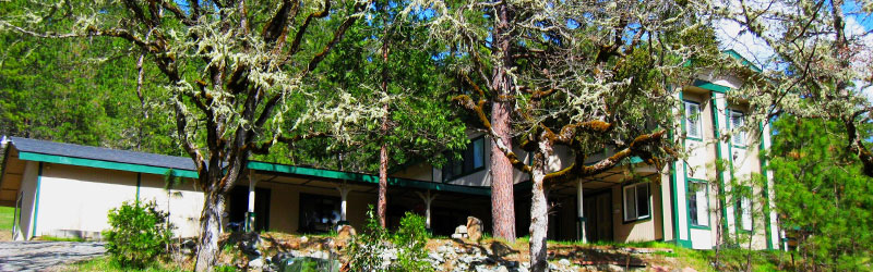 Kelly Mt. Lodge from Sunken Garden header